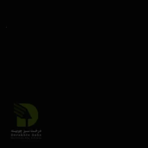 مشکی براق 1109 Meshki Baragh