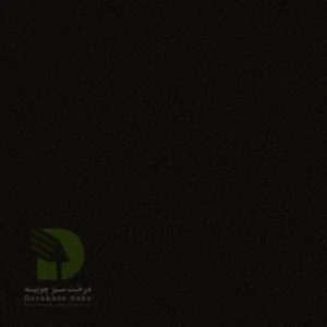 سیاه شنی براق 1110 Siah Sheni Baragh