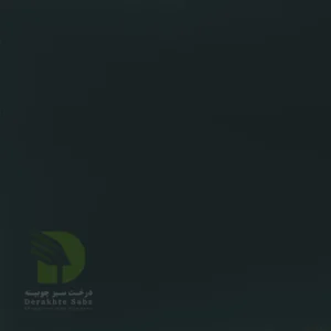 یشمی براق 1432 Yashmi Baragh